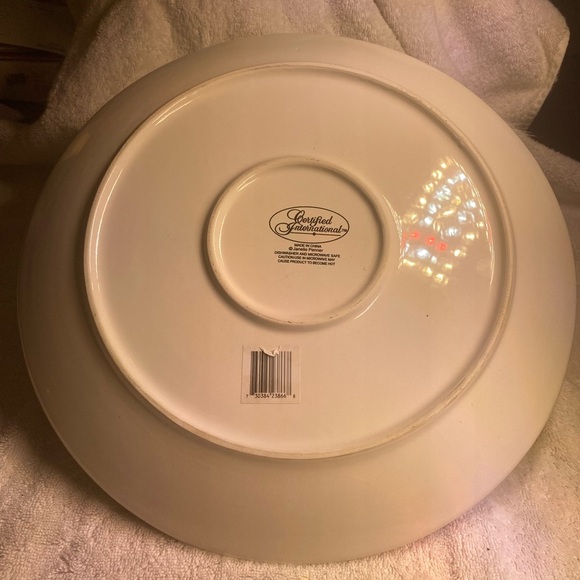 Platter Colorful Toucan Food and Oven Safe 12.5 Inches Diameter - Picture 3 of 3